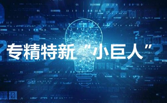 “專精特新”引領(lǐng)，持續(xù)輝煌征程！欣立電器榮獲***“專精特新”小巨人企業(yè)稱號